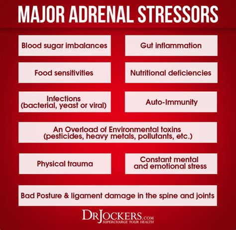 The 7 Key Phases Of Adrenal Fatigue