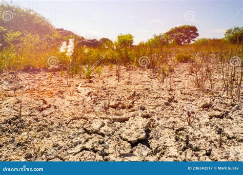 Dry Cracked Soil In A Field During Drought Global Warming Problem