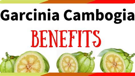 benefits of using garcinia cambogia extract garcinia cambogia review youtube