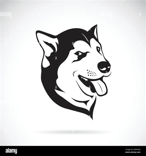 Vector Of A Dog Siberian Husky On White Background Easy Editable