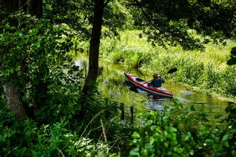 Środowisko borów jest rajem dla gatunków owadożernych, licznie tu występujących. Pomorskie nieoczywiste: Park Narodowy Bory Tucholskie ...