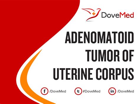 Diagnosis And Management Of An Adenomatoid Uterine Tu Vrogue Co