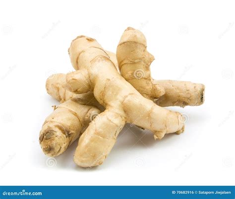 White Turmeric Isolated Stock Photo Image Of Closeup 70682916