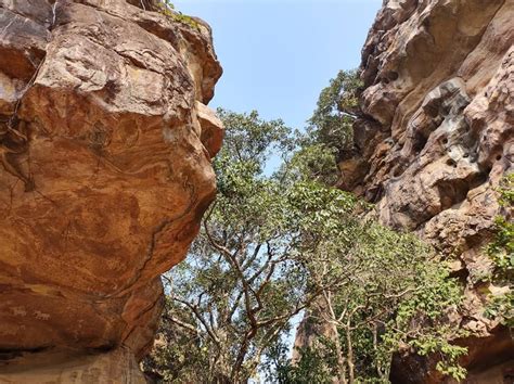Of Rock Shelters Early Humans And A Fossil Wildlife Conservation Trust