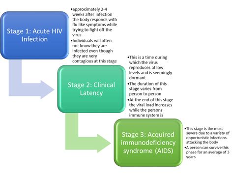 Hiv Infection Stages
