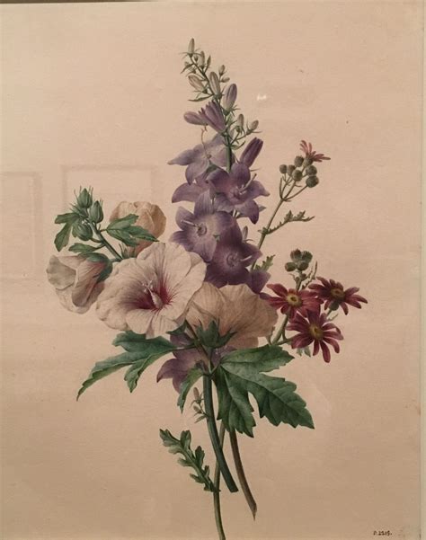 Pierre Joseph Redouté A Master Of Flowers Paris Diary By Laure