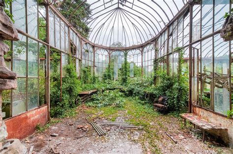 The Interior Of An Abandoned Greenhouse 1600×1064 By Francis Meslet