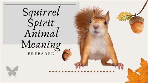 Squirrel Spirit Animal Meaning Are You Prepared For The Future Youtube