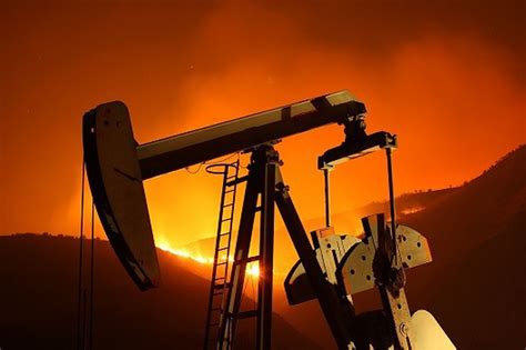 A Group Of Environmentalists Lawyers And Activists Have Come Together
