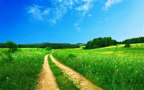 Nature Country Road Field With Green Meadow Blue Sky Summer Landscape