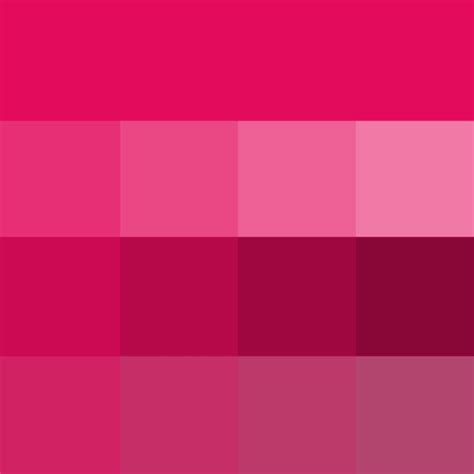 Raspberry Shades Hue Pure Color With Tints Hue White Shades