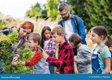 Group Of School Children With Teacher On Field Trip In Nature Learning