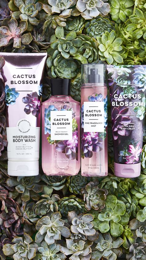 Shop bath & body works for the best fragrance, gifts, body & bath products! Bright. Floral. Sweet. With notes of bright cactus petals ...
