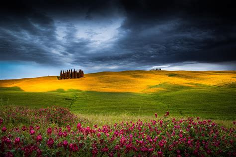 Wallpaper Sunlight Landscape Sunset Flowers Hill