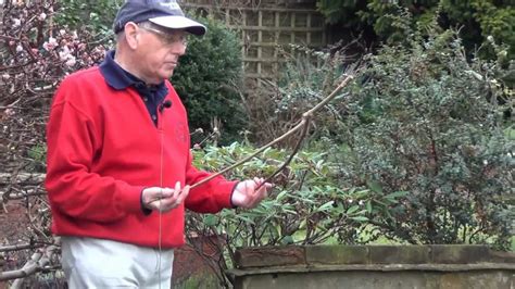 *all of this, of course, is assuming you are stranded in a new world desert with true cacti. John Baker - Professional Dowser - YouTube
