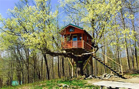 How To Build A Treehouse Diy Tips And Cost Guide Earlyexperts