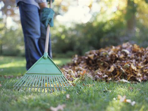 Um die garten tipps ideal umsetzen zu können sollte sich jeder gartenbesitzer zunächst gedanken machen wie der. Rasenpflege im Herbst: Tipps | Garten-Tipps | Garten