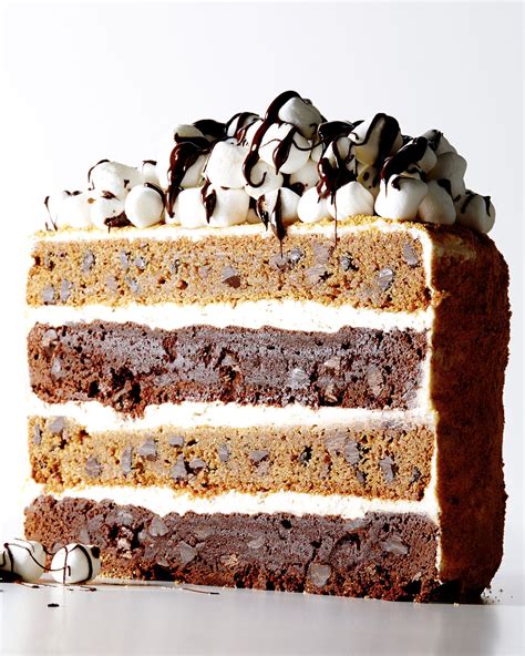 Scrumptious Smores Layer Cake Recipe — Bite Me More