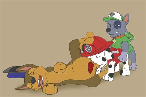 Rule Anal Anal Sex Balls Canine Chase Paw Patrol Dalmatian
