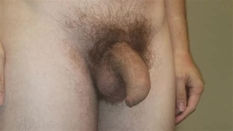 Small Soft Penis Transforming Into A Big Hard Cock Large Inch Dick