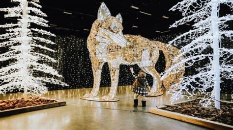 Indoor Christmas Light Display And Market Noel Coming To Milwaukee