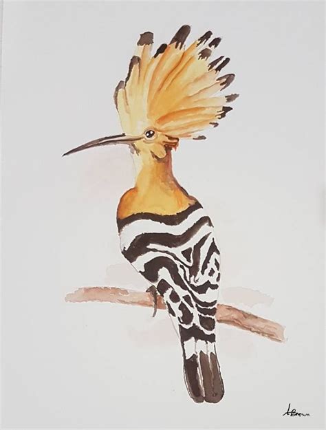 The Hoopoe Painting In 2021 Original Animal Painting Art Hawaii