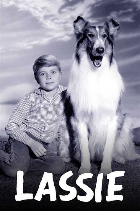 Lassie Tv Series 1954 1973 Posters — The Movie Database Tmdb