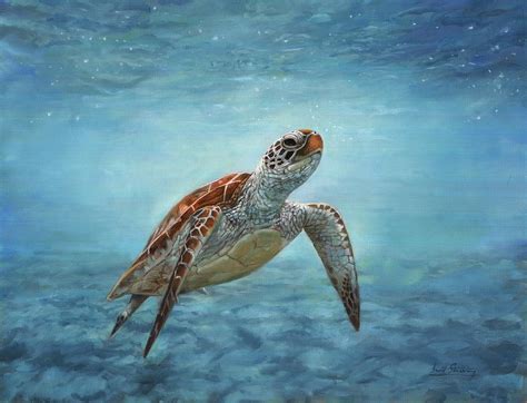 Underwater Sea Turtle Paintings