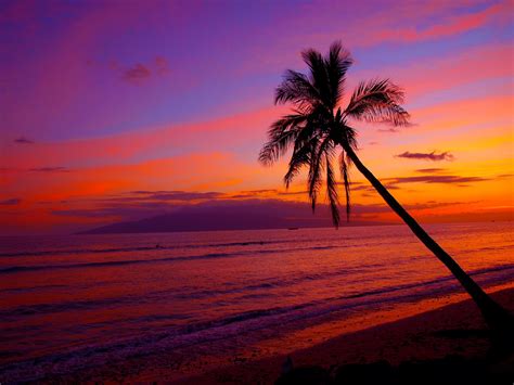 Does The Sun Fully Set In Hawaii Trending Simple