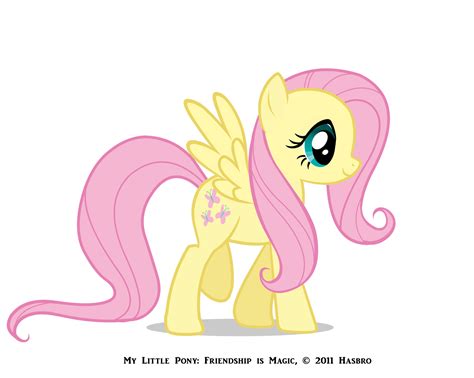Twilight sparkle is the primary main character of my little pony friendship is magic. تقرير كامل عن ماي ليتل بوني My little pony