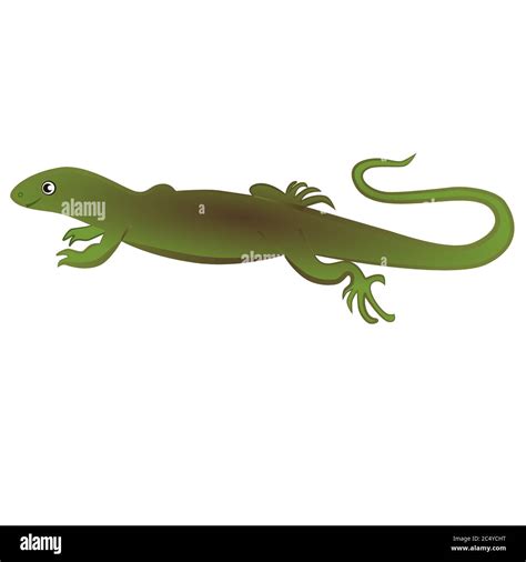 Cartoon Green Lizard Isolated White Background Stock Vector Image And Art
