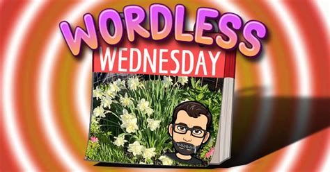 Flowers Fun Wordless Wednesday Number 8 Wordlesswednesday Macs