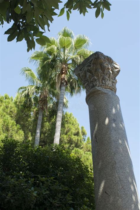 Palm Trees And Antique Marble Column In The Garden Of The Antalya