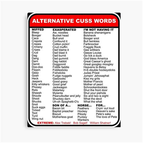 Alternative Cuss Words Canvas Print For Sale By Gentryracing Redbubble
