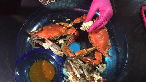 Blue Crabs And Shrimps 🦀 Youtube