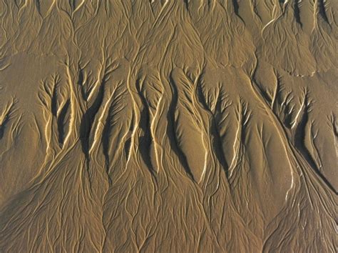 Gedicht spuren im sand zum drucken. Spuren im Sand Foto & Bild | natur, gezeiten, lebensräume Bilder auf fotocommunity