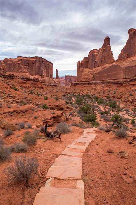 Park Avenue Trail In Arches National Park Photograph By Stephanie Mcdowell