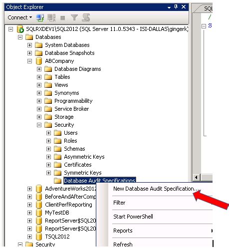 SQL Server Audit Feature SQLRx