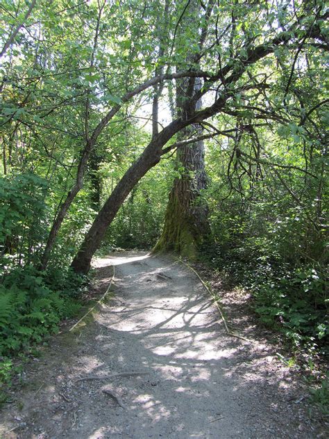 Shoreline Trail At Rocky Point In Port Moody Vancouver Trails