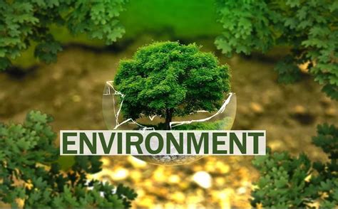 What Is The Environment Definition And Examples Market Business News