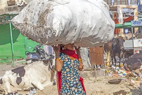 indian woman carries heavy load on her head stock image everypixel