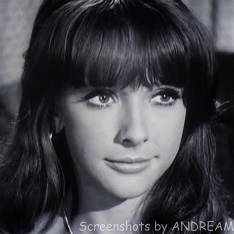 Brenda Scott As Carla The Cage 1964 The Fugitive Star David Tv