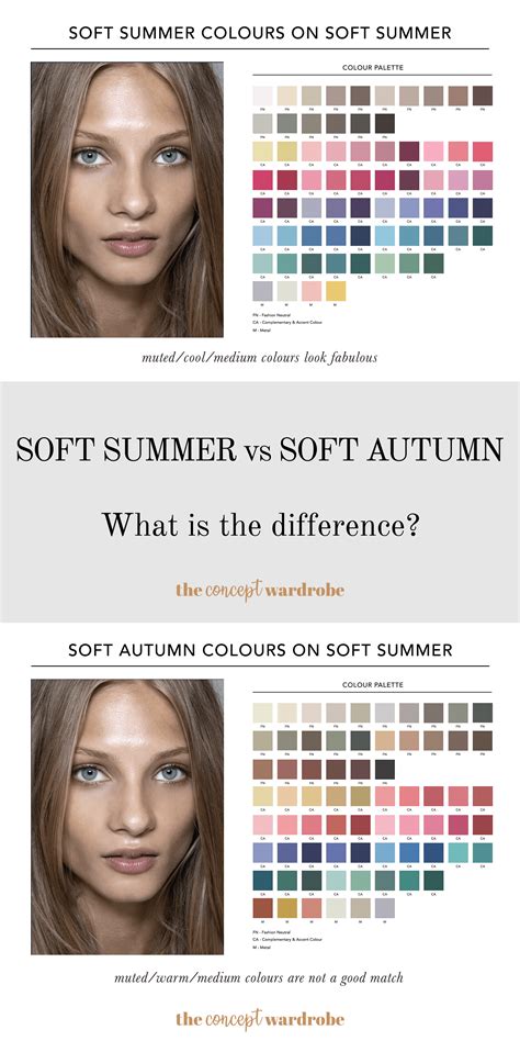 Soft Summer Vs Soft Autumn What Is The Difference The Concept