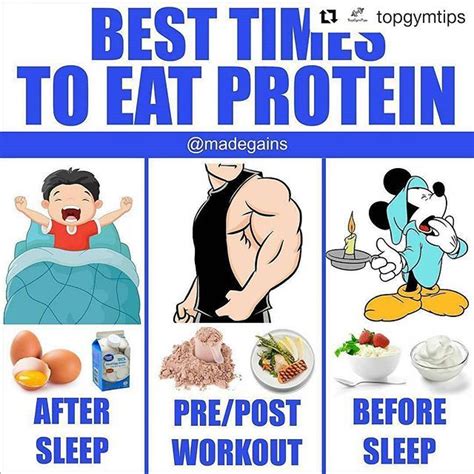Repost Topgymtips Get Repost SCIENCE BEHIND PROTEIN FEEDINGS By