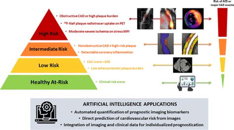 Artificial Intelligence In Cardiovascular Imaging For Risk