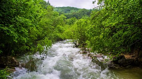 Stormy mountain river in the forest, a strong current, a catastrophe