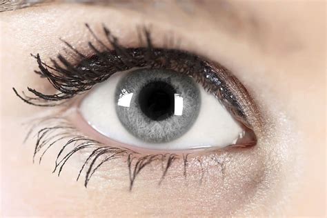 Facts About Gray Eyes