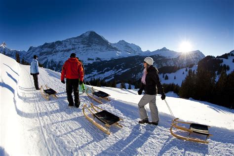 Sledging Interlaken Switzerland Grindelwald Bus Winter Park Ski