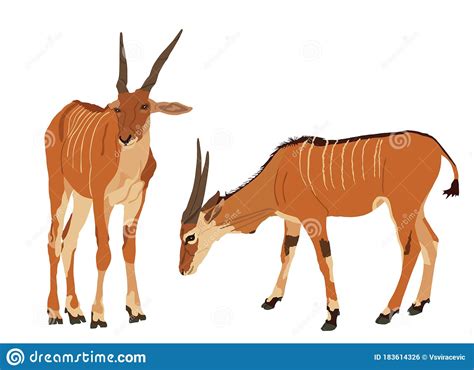 Common Eland Antelope Silhouettes Cartoon Vector