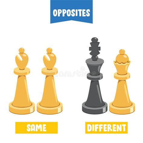 Opposite Adjectives With Same And Different Stock Vector Illustration